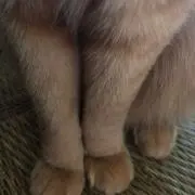 プロフ必読♡