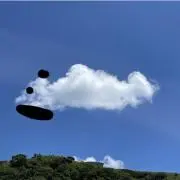 tの画像