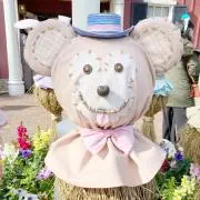 r.の画像