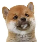 りょー　値段交渉歓迎です！の画像