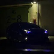 ロールキャベツの画像