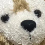 めんの画像