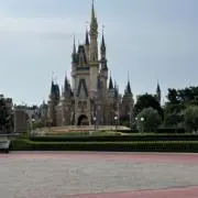 miotaの画像