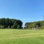 Chachaの画像