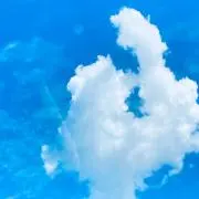 LOMIの画像