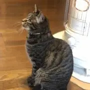 光