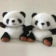 パンダの画像