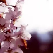しこみママ★プロフ必読の画像