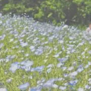 aya.の画像