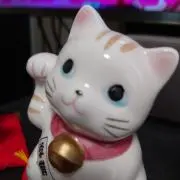 カバサの画像