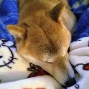 ナオ