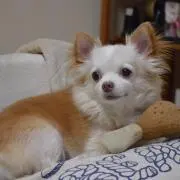 れおん♪
