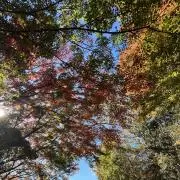 すず MGA大量出品中の画像