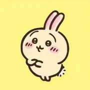 ROAの画像