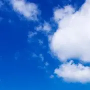 十六夜の画像