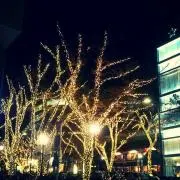 あーこ☆