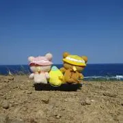 momoの画像