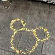 なーちゃんの画像