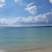 つり吉の画像