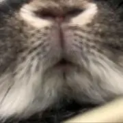 おはぎ＊プロフィール要確認