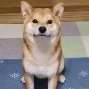 ぷ