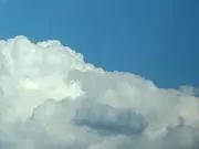 tiaraの画像
