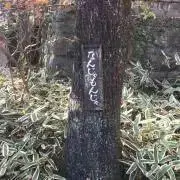Orenの画像