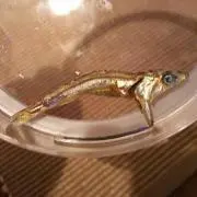 かつお武士