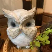 kumamiの画像