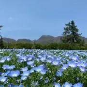 田代紗那