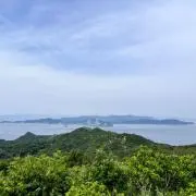 たけのこの画像