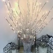 ねっこの画像