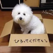 ちっち