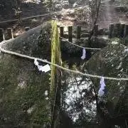 やくぴー