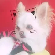 さ ち