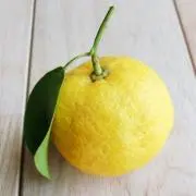 （株）yuzuha