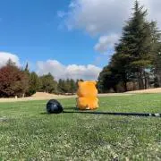 Mi.