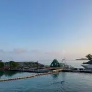 いちの画像