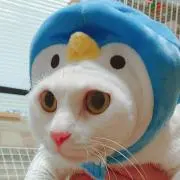 マックスの画像