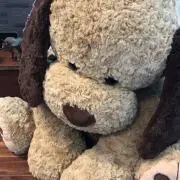 きゃべっちゃん
