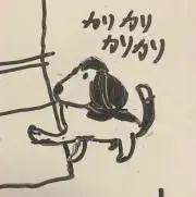 かいわれ（値下げ交渉NG）の画像