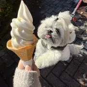 いつき‎【プロフ必読】の画像