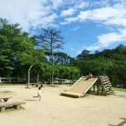 いわのりの画像