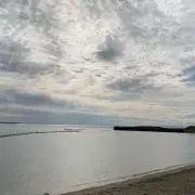 Lemon_nade_8