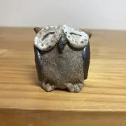 まゆこの画像