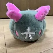 WRの画像