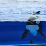 みぃ/断捨離中の画像