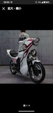 anjupapaの画像