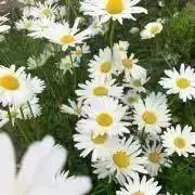 みっちゃん ♪プロフ必読♪の画像
