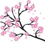 ★SakuraBooks★ 水土日休店♡の画像